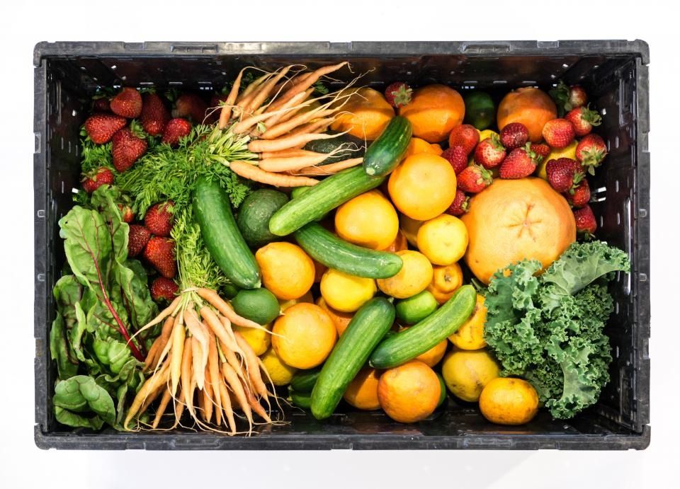 Caja llena de frutas y verduras frescas: zanahorias, pepinos, naranjas, fresas y hojas verdes