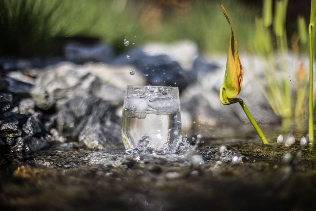 Vaso de agua con hielo sobre unas piedras junto a unas plantas